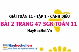 Giải bài 2 trang 47 Toán 11 tập 1 SGK Cánh Diều